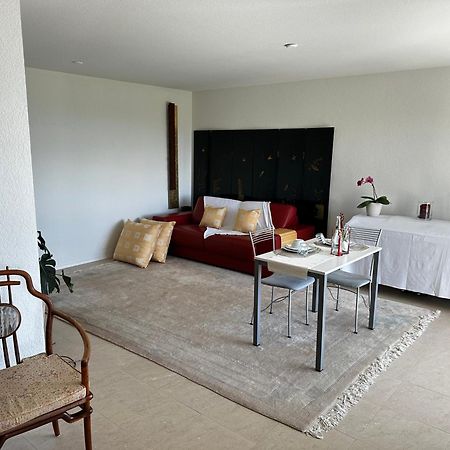 Lakeview Apartment-Lavaux Grandvaux Exterior foto